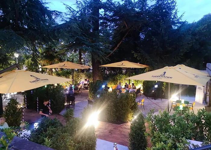 Bbconegliano Borlini