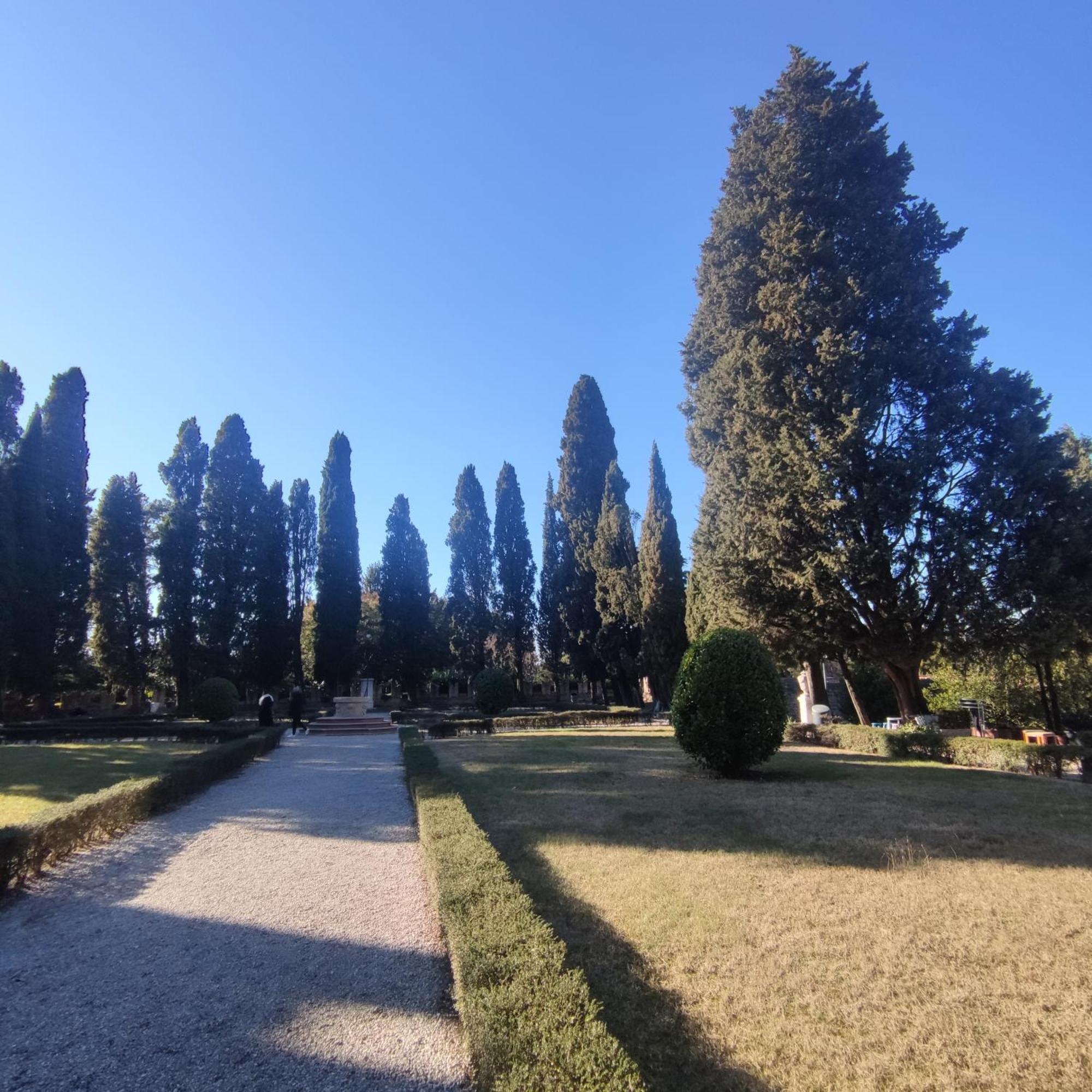 Homestay Bbconegliano Borlini